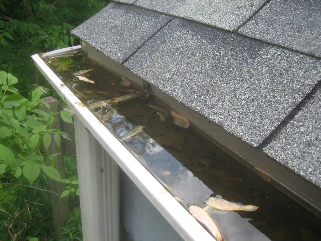 Why Regular Gutter and Valley Cleaning by Scurrah’s Roofing Prevents Costly Roof Damage