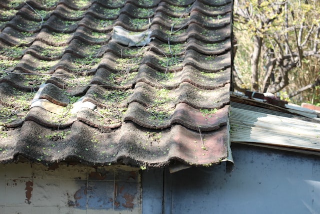 What Every Homeowner Should Know About Roofing: Energy Savings & Rot Resistance