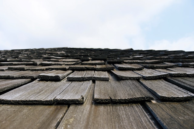 Top 5 Signs of Termite or Dry Rot Damage Hiding Under Your Roof