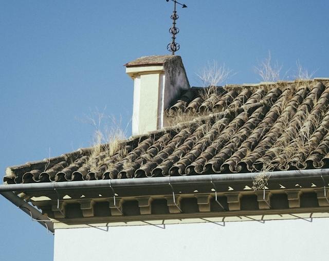Common Roofing Problems Found in Southern California Homes (And How to Fix Them)